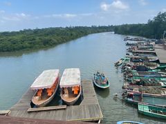-东寨港红树林旅游区