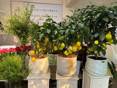 -老杨太太烧烤(文化广场店)