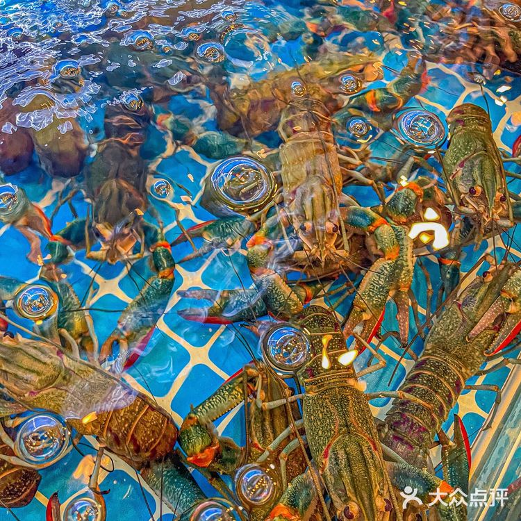 在北京吃到蕞好吃的小龙虾❗️感谢本地人带路！