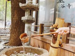 -灵谷景区