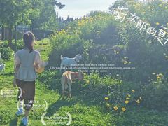 -前小桔亲子创意农场·草莓采摘·露营烧烤