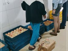 -老袁家蜜桃农场·阳山水蜜桃