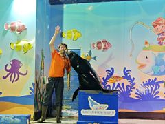 -太平洋海底世界