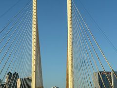 -舒记老友粉(埌西店)