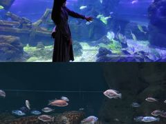 -江和美海洋公园