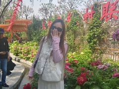 -太阳宫公园