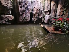-正佳雨林生态植物园