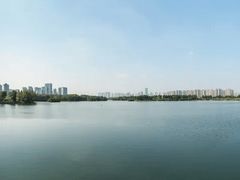 -洋湖国家湿地公园