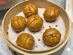 -唐猫庭院·千年陕菜(大唐不夜城店)