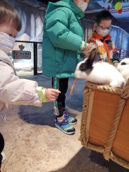 -酷嗒动物文化乐园(cutezoo西溪乐天城店)