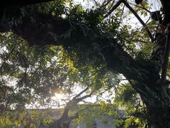 -星巴克(福州三坊七巷店)