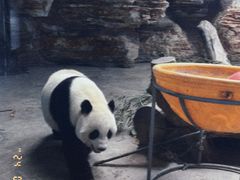 -石家庄市动物园