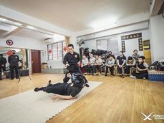 -仁义咏春拳馆(黄村国术馆)