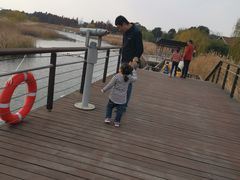 -太湖湖滨国家湿地公园-停车场