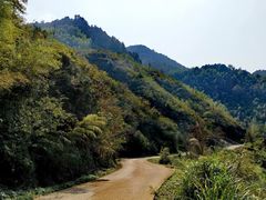 -仙岛湖旅游风景区