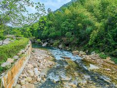 -姑婆山旅游区