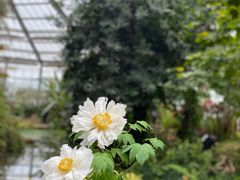 -中国科学院华南植物园
