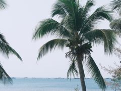-三亚西岛海洋文化旅游区