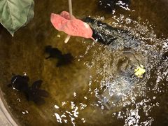 -郭家大院(新源店)