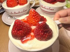 -O'eat Blossom&Pelican(深圳首店)