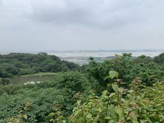 -广州莲花山旅游区