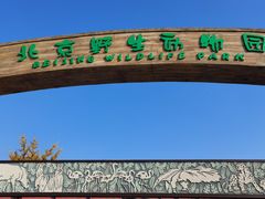 -北京野生动物园