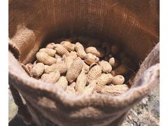 -Long Bar(莱佛士酒店)