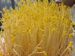 -巴倒烫陆派火锅山庄(南山总店)
