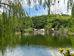 -东莞市可园博物馆