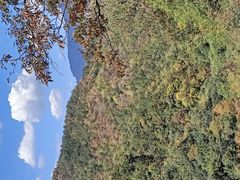 -燕子河大峡谷天坑仙境