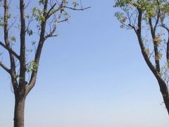 -上海滴水湖皇冠假日酒店