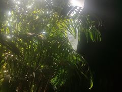 -阳光海鲜城(太仓万达店)