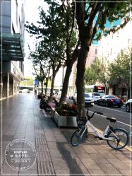 -金太子形象设计