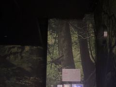 -新盈光·心院(嘉恒广场店)
