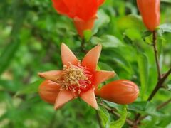 -陈李济中药博物馆