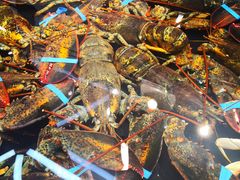 -海鲜e族(马王堆店)