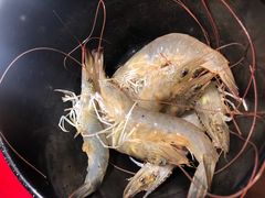 -捞围鲜·港式打边炉(海阳路店)