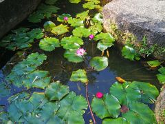 -珠海圆明新园