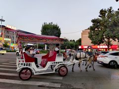 -特克斯八卦城