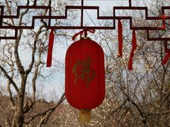 -开福禅寺