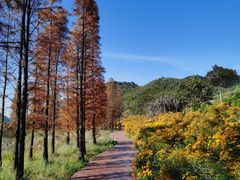 -广州市石门国家森林公园