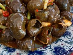 -生态苑农庄(十里画廊遇龙河店)