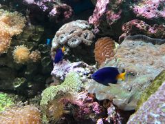 -鹿儿岛水族馆