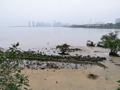 -万绿园