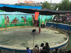-五龙山野生动物王国