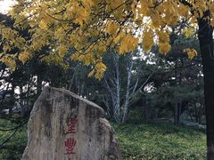 -丰台花园