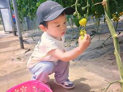 -兴芮温泉度假区