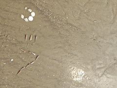 -南澳海滩