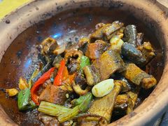 -天宝食坊·啫啫煲大排档(西华路店)