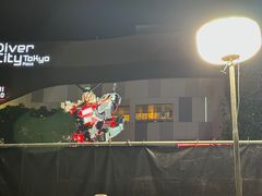 -台场海滨公园船码头